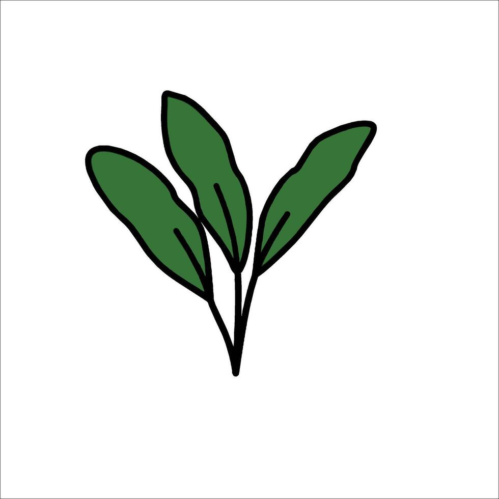 A green plant with leaves on it vector