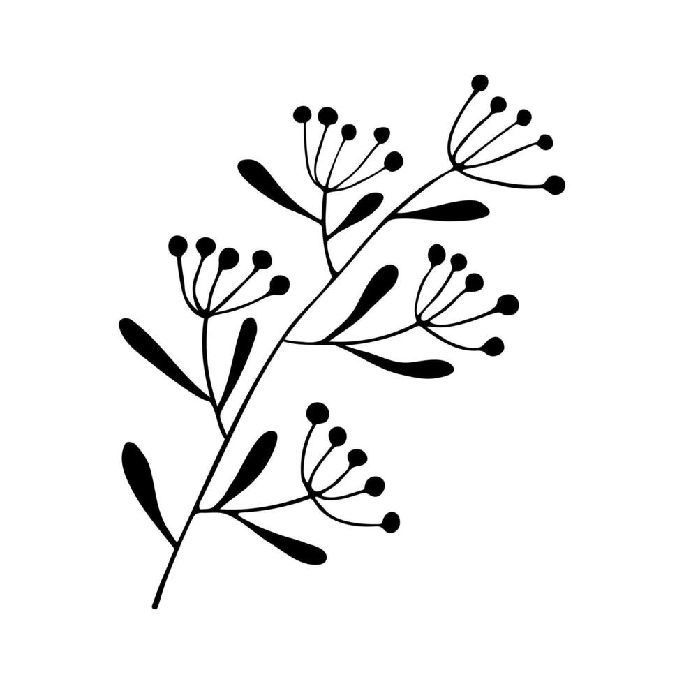 Twig with leaf and berry, silhouette branch hand drawn, doodle element design on white background. vector