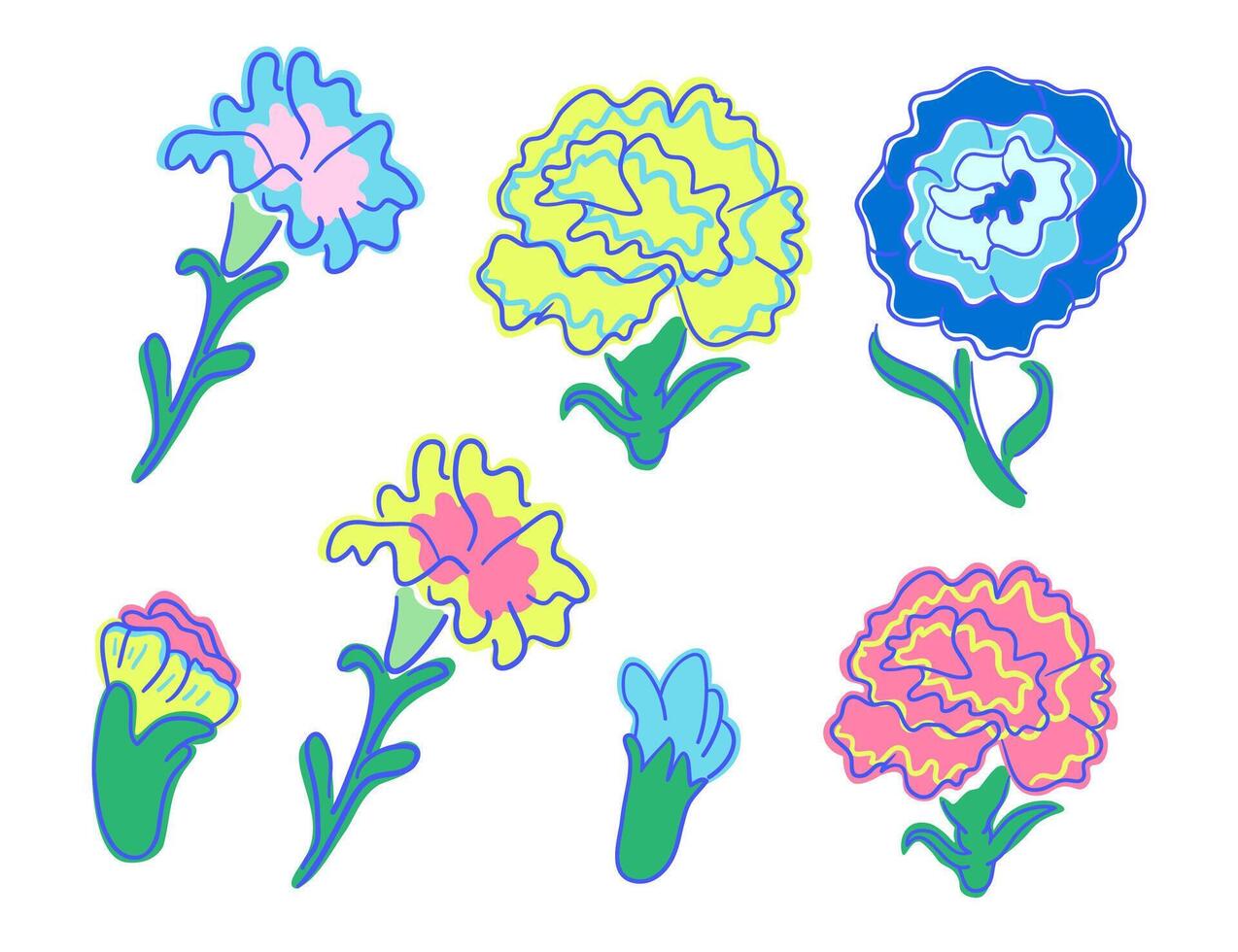 set of carnation flowers in different shape and colors vector