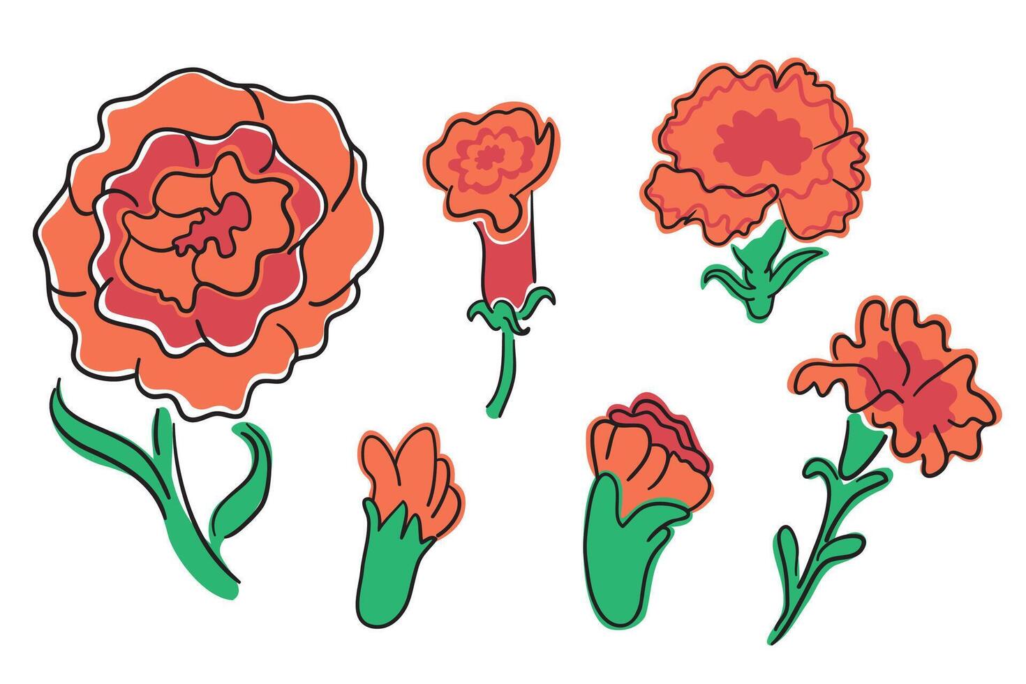 set of red carnation flowers vector