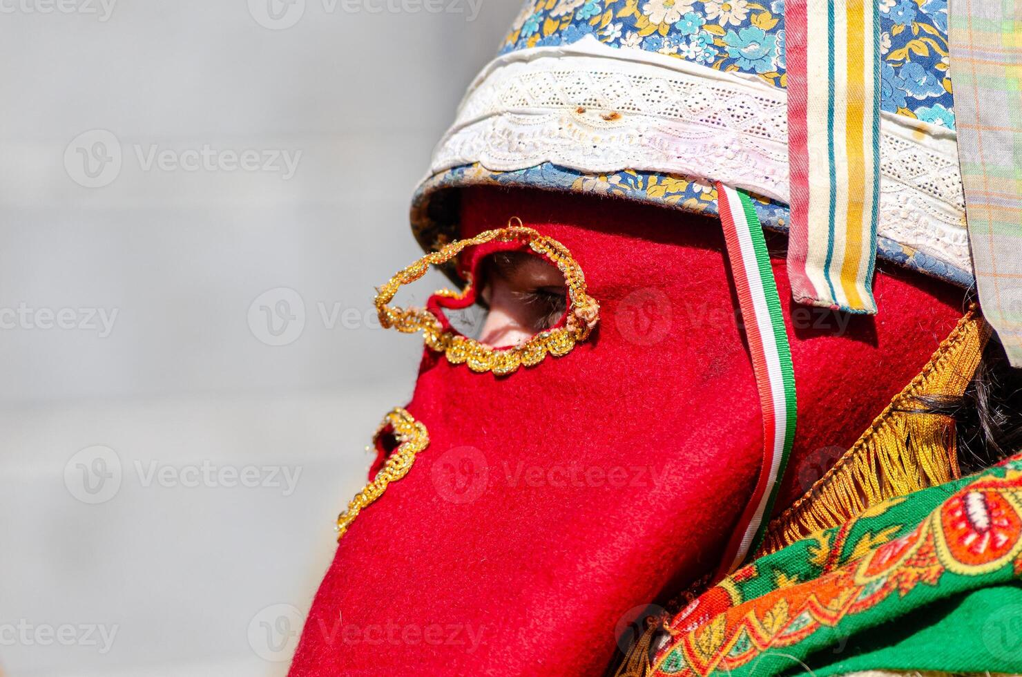 joaldunak, traditional mask in Ortuella carnival. Euskadi. Euskal Herria photo