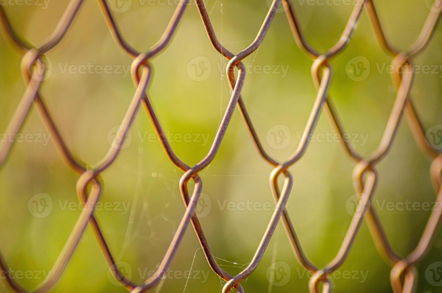 selective focus Close up of chain link fence with sunny landscape in the background, selective focus photo