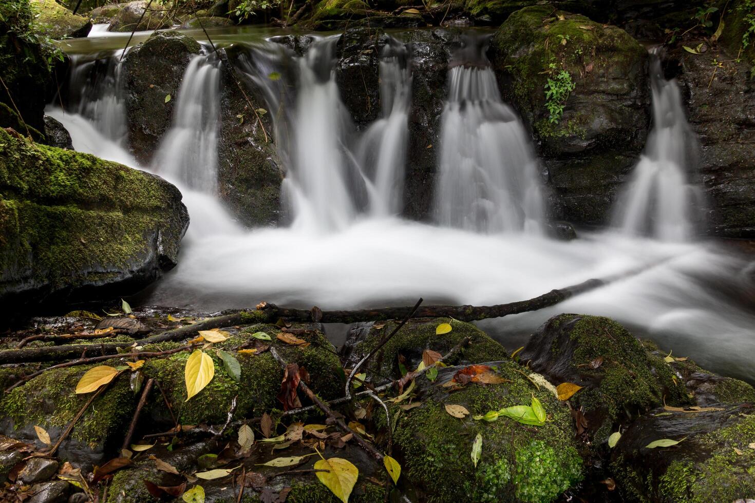 Savegre River Tributary in San Gerardo de Dota, Costa Rica photo
