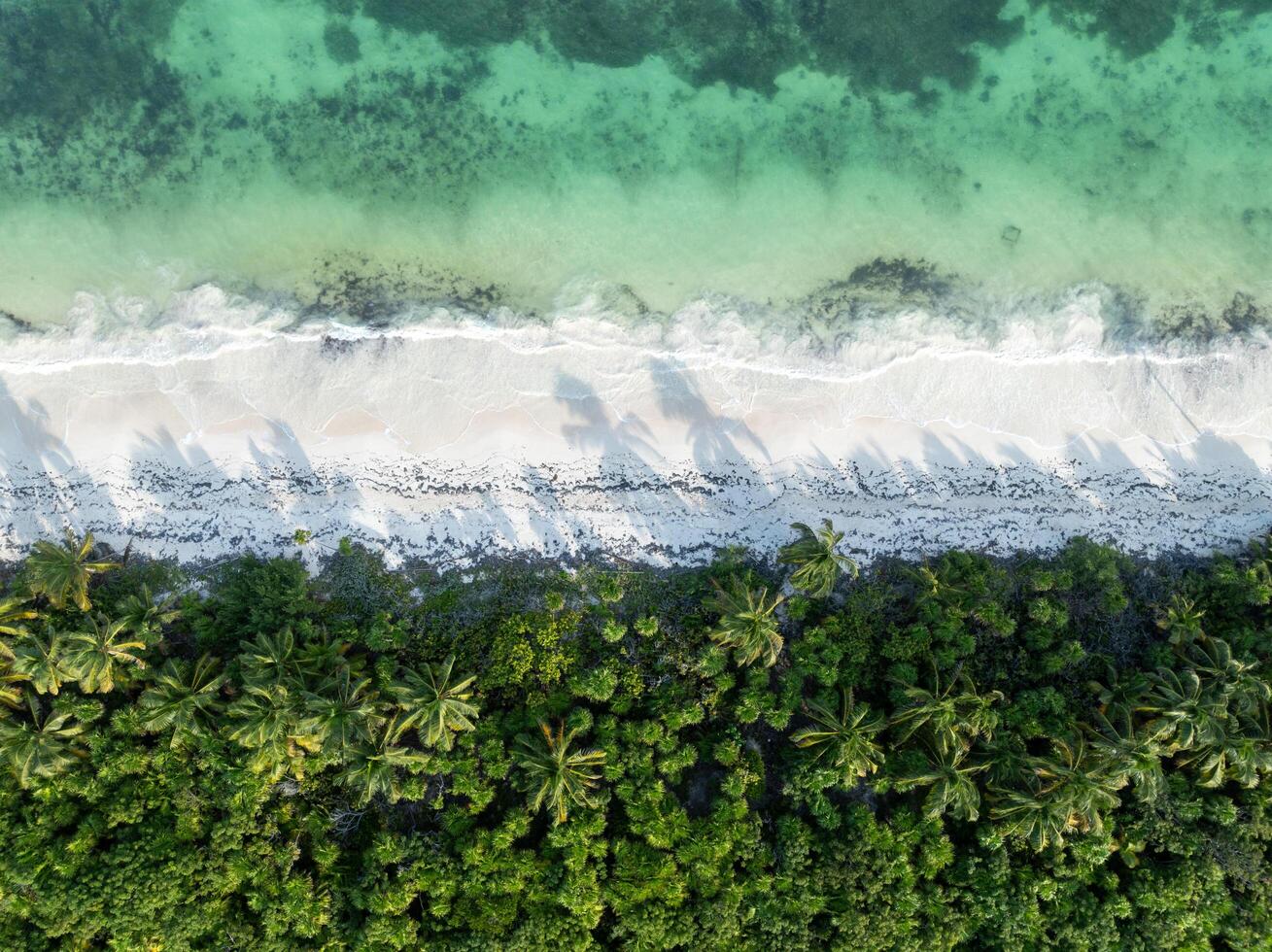 Boca Paila - Tulum, Mexico photo