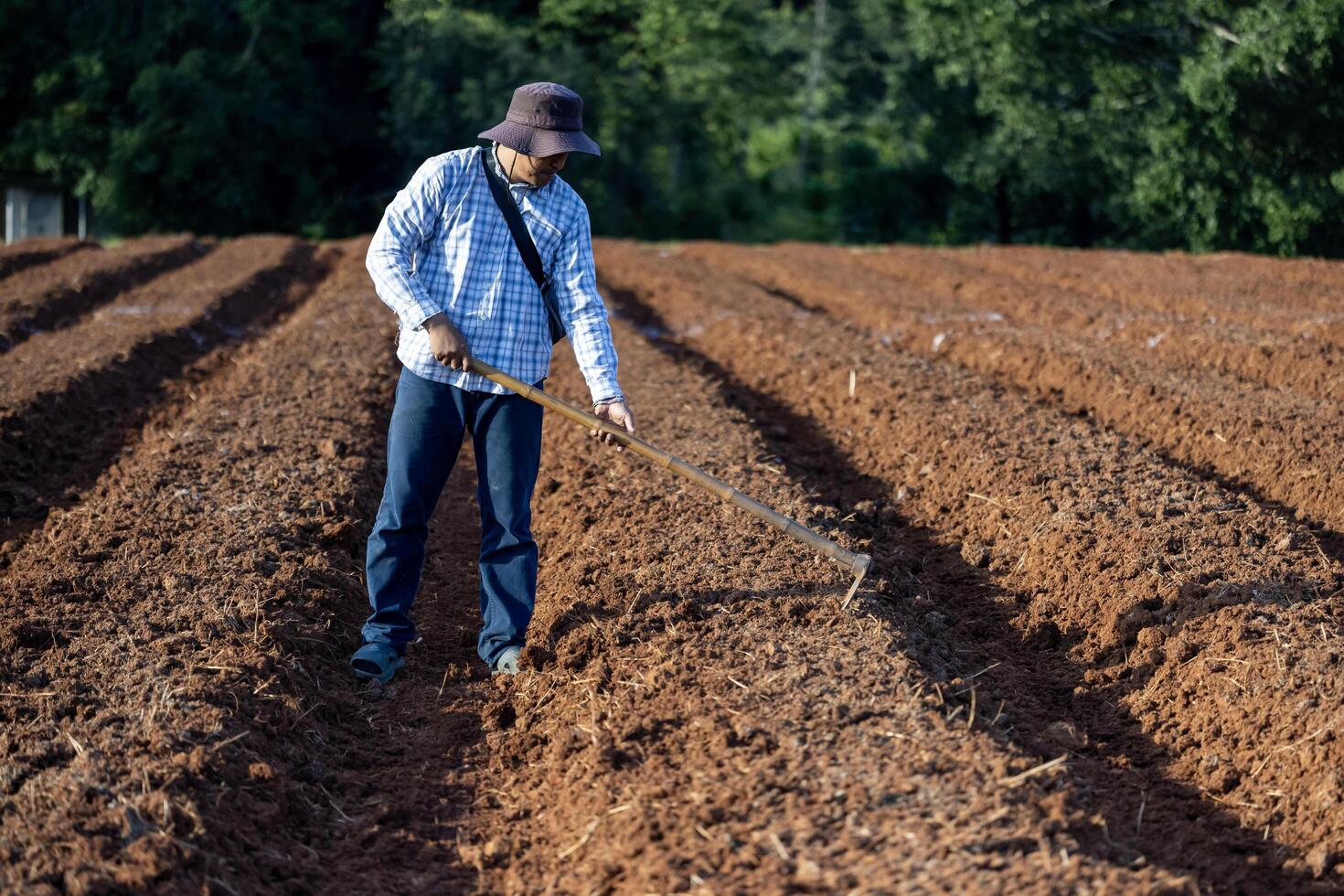 Asian farmer is using hoe to plough tilled soil ready for planting in the countryside during summer for potato plantation and agriculture photo