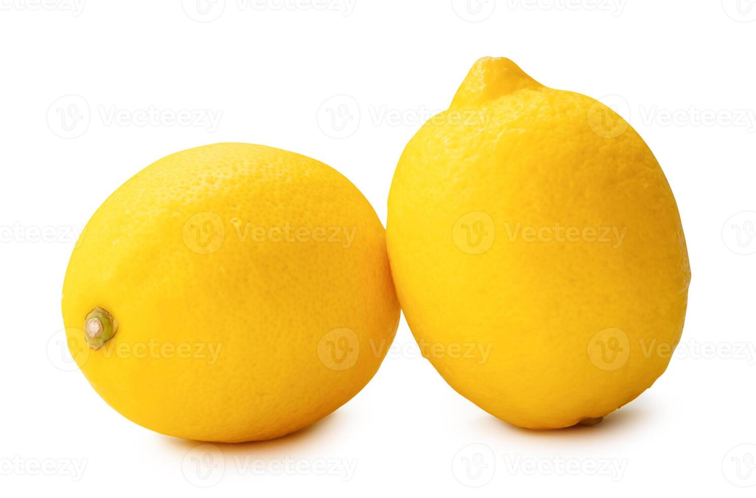 Side view of two fresh ripe yellow lemon fruit in stack isolated on white background with clipping path photo