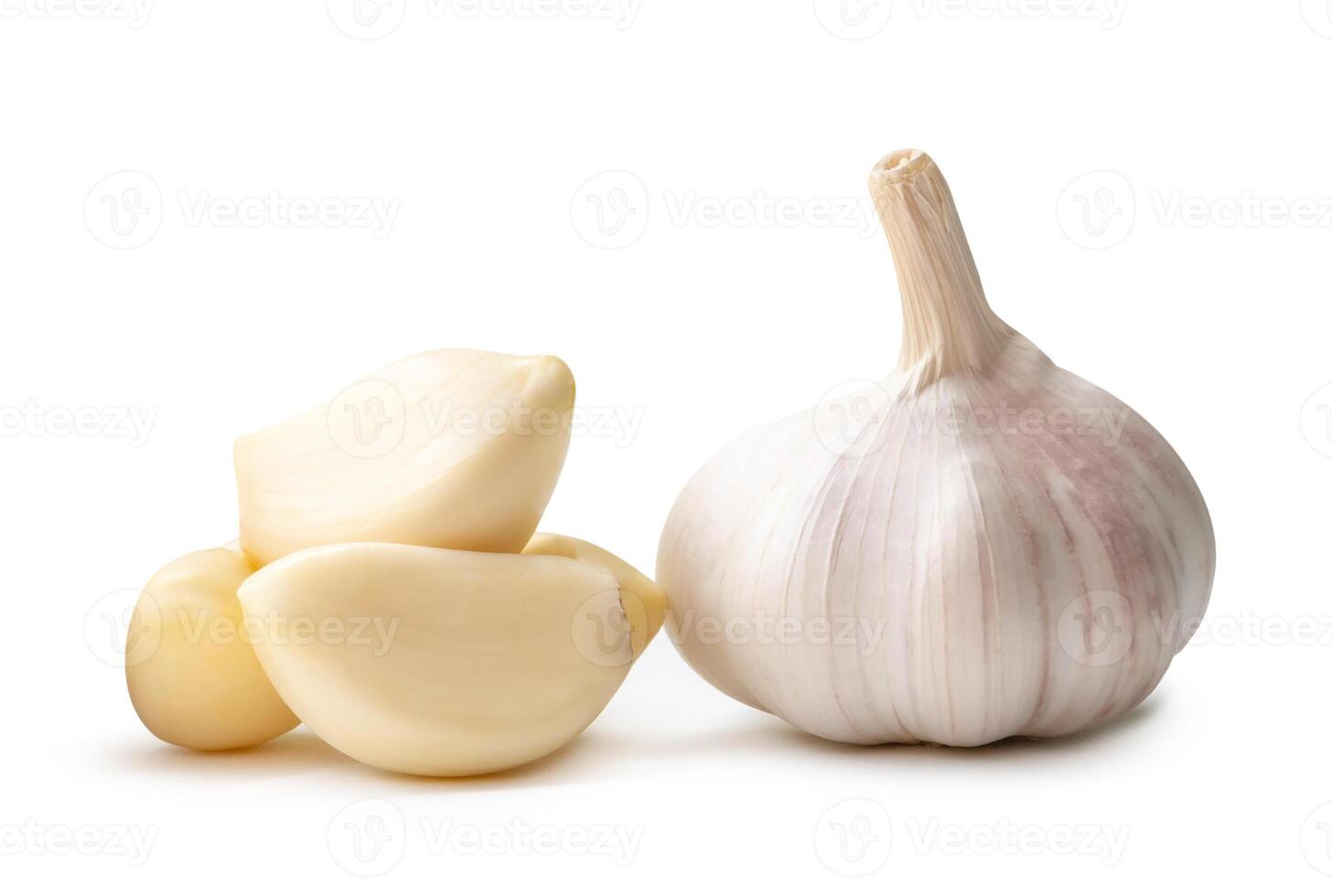 Side view of white garlic bulb with peeled cloves in stack isolated on white background with clipping path photo