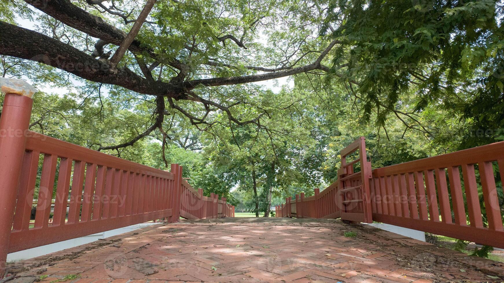 tree nature plant garden summer grass leaf green color outdoor environment landscape spring background season day park growth forest lawn yard brigde wooden brown ecology fresh foilage botany lush photo