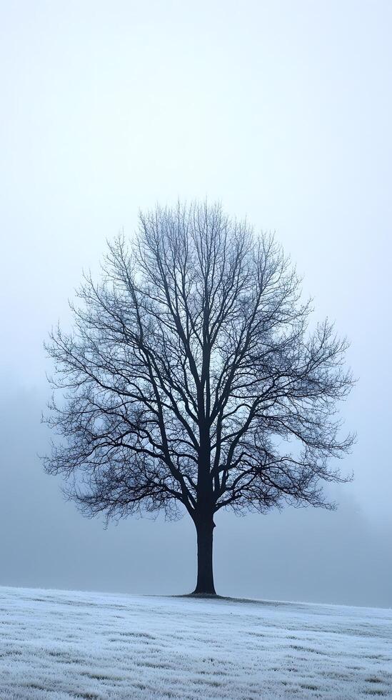 Solitary Tree in Mist-Covered Field with Haunting and Serene Atmosphere photo