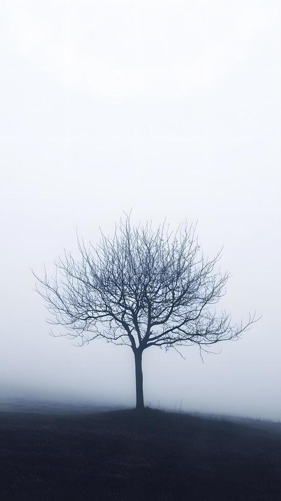 Solitary Tree in Mist-Covered Field with Haunting and Serene Atmosphere photo