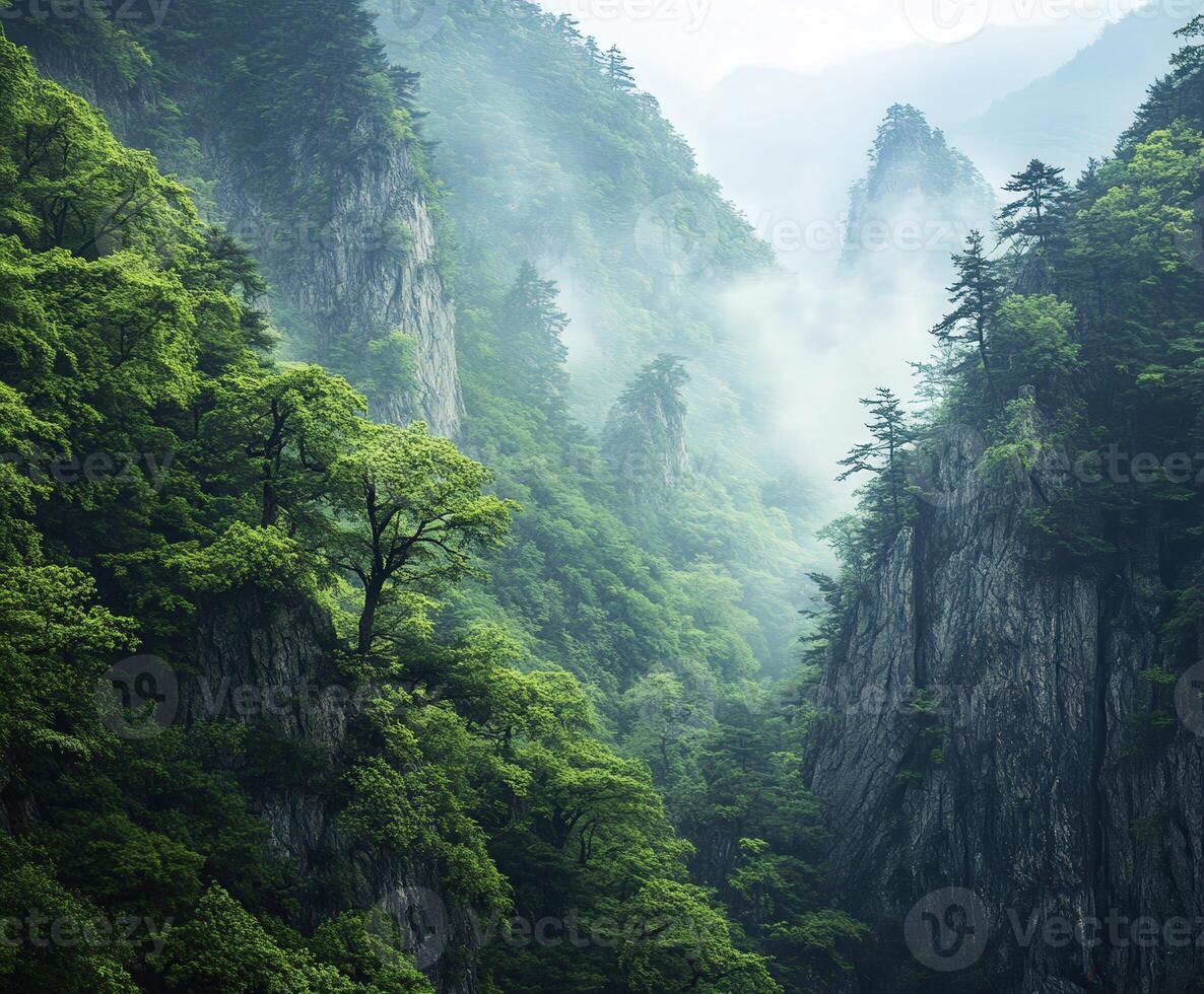 Misty morning in lush green mountains with towering cliffs and trees photo