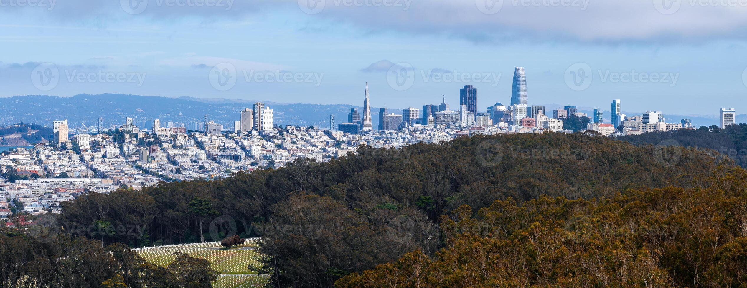 Panoramic View of San Francisco Skyline with Iconic Landmarks photo