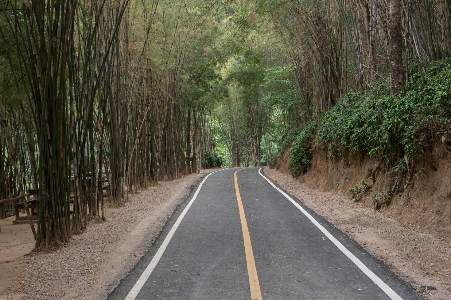 Curve of long road across through mountain view under cloudy sky photo