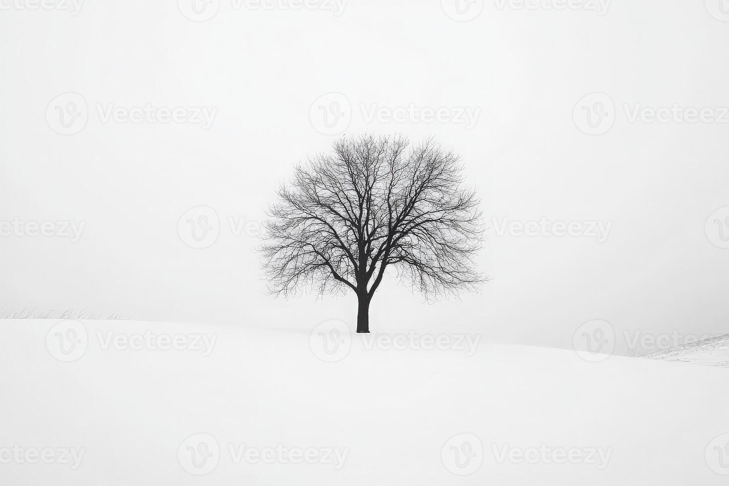 A single, bare tree is prominently featured in a vast expanse of white snow. The overcast sky creates a serene, minimalist winter atmosphere that emphasizes the trees solitude. photo