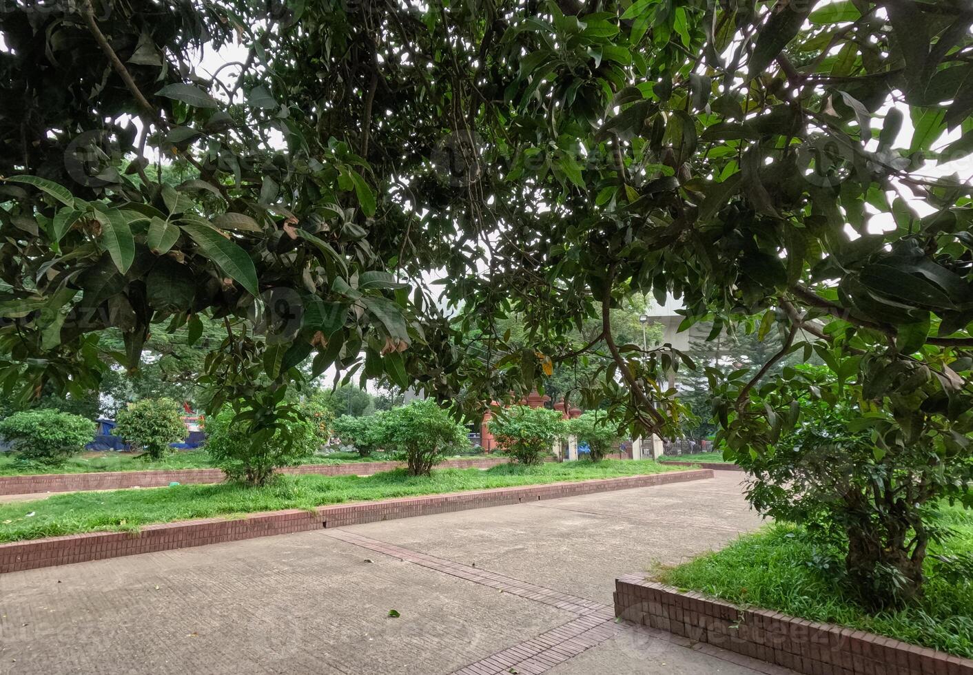 Landscape around Mausoleum of three leaders at Shahbag Dhaka University area photo