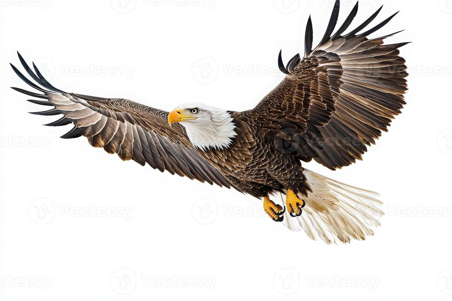 A striking eagle spreads its wings wide as it soars gracefully in the sky. The bird showcases its impressive feathers and powerful presence in this captivating moment. photo