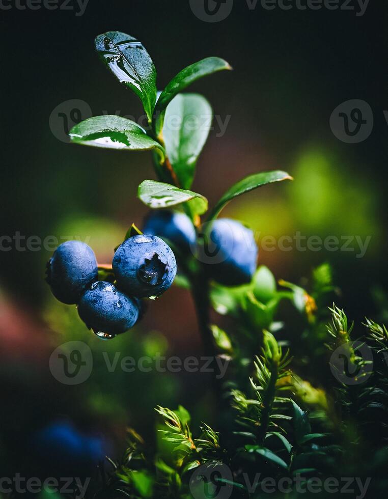 Macro Shot of Nature Life in Forest , Detailed Forest Nature Photography photo
