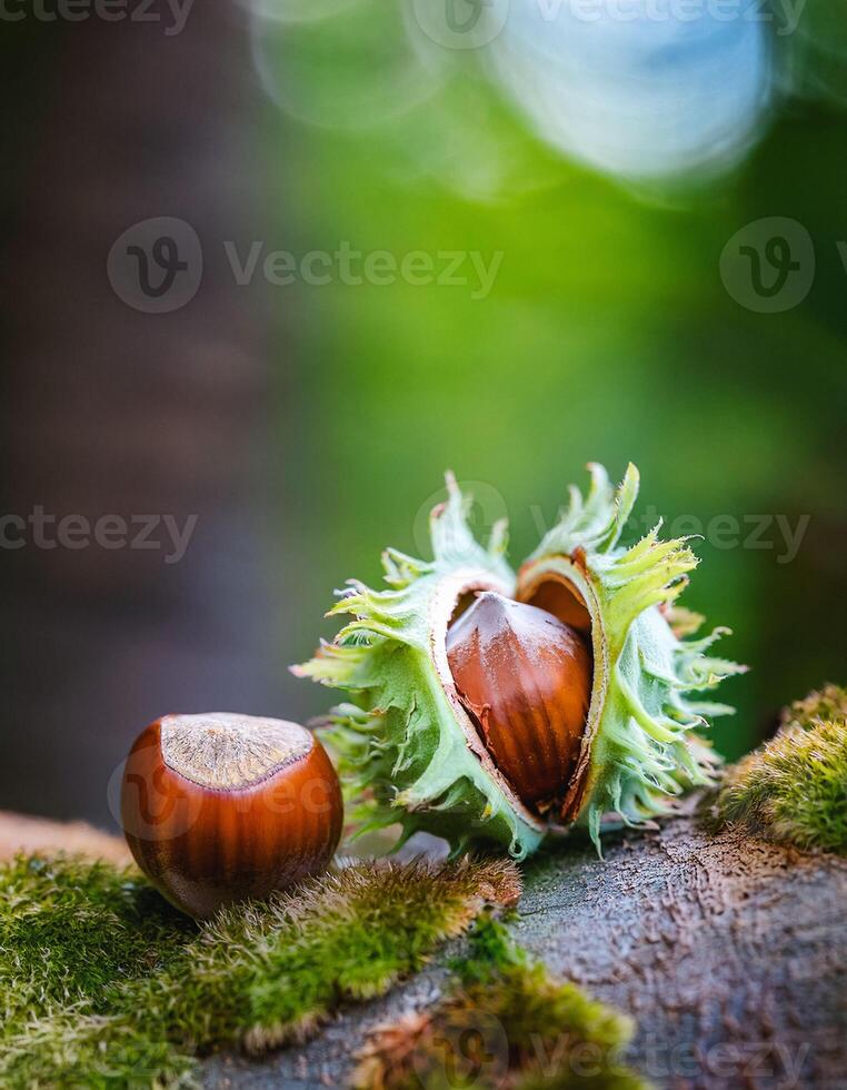 Macro Shot of Nature Life in Forest , Detailed Forest Nature Photography photo