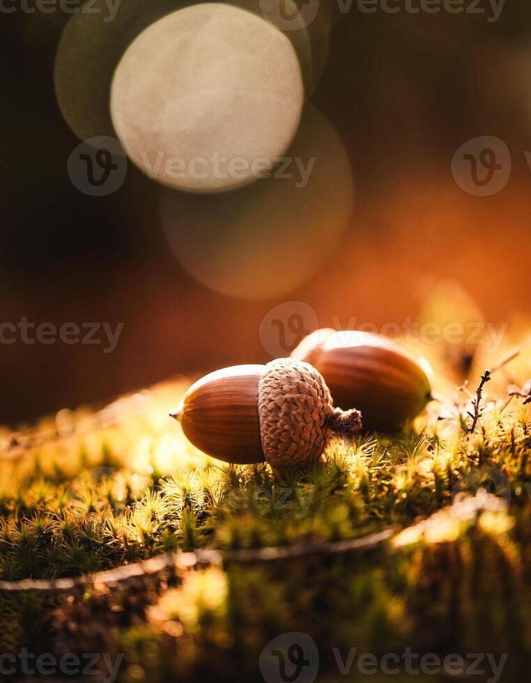 Macro Shot of Nature Life in Forest , Detailed Forest Nature Photography photo