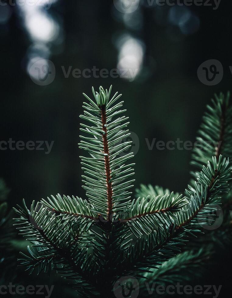 Macro Shot of Nature Life in Forest , Detailed Forest Nature Photography photo