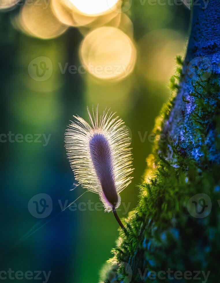 Macro Shot of Nature Life in Forest , Detailed Forest Nature Photography photo