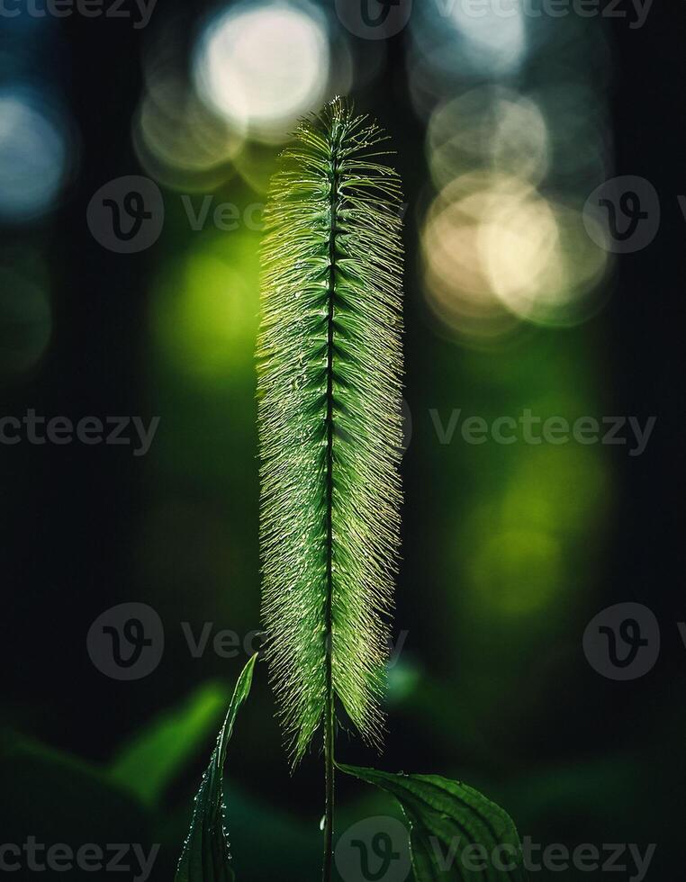 Macro Shot of Nature Life in Forest , Detailed Forest Nature Photography photo