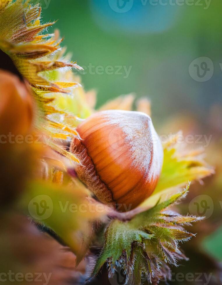 Macro Shot of Nature Life in Forest , Detailed Forest Nature Photography photo