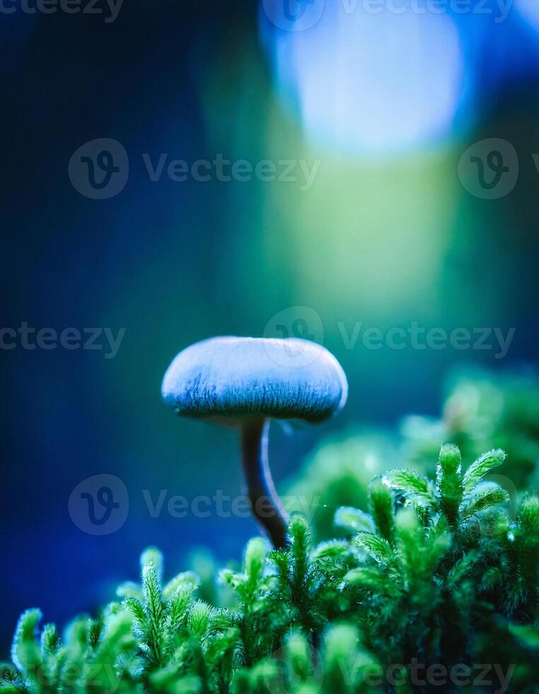 Macro Shot of Nature Life in Forest , Detailed Forest Nature Photography photo