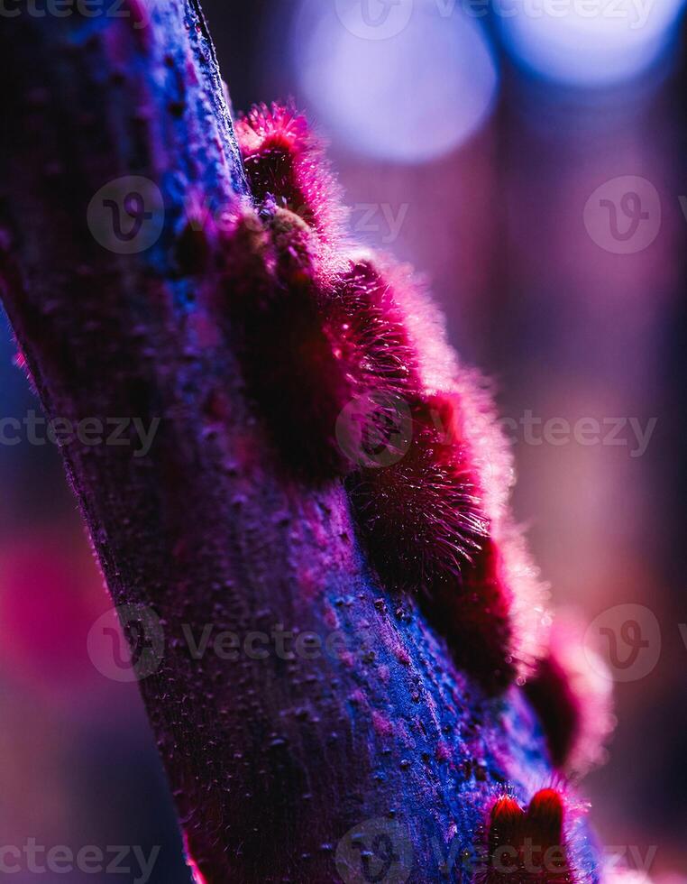 Macro Shot of Nature Life in Forest , Detailed Forest Nature Photography photo