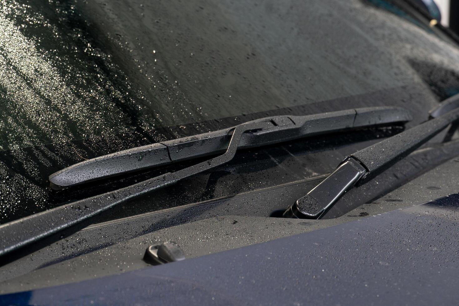 Close-up of a car windshield wiper. Wiper blade is black and appears to be made of rubber. Wiper arm is also black and has a metal spring attached to it. Background is blurred, of the hood of the car. photo