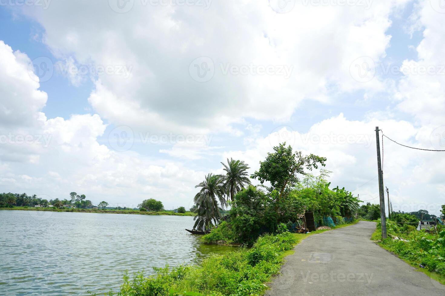 The beauty of Nature at Kharibari Village near Kolkata photo