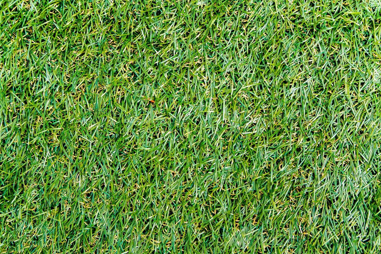 Texture of plastic grass on artificial turf photo