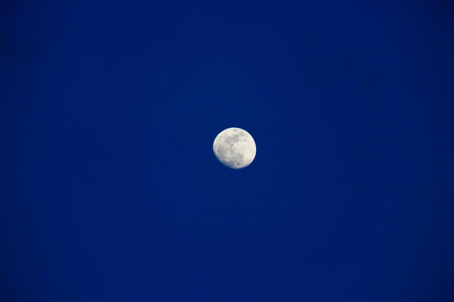 photography of the moon in the blue sky in the evening photo