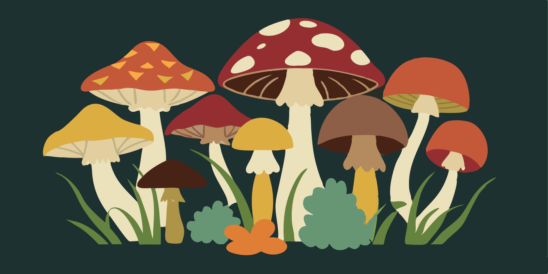 Autumn mushroom. Set of vegetable fungus. Organic forest food and plant. Cartoon edible toadstool vector
