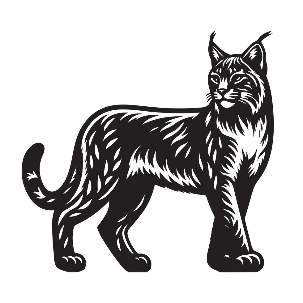 bobcat silhouette on white background vector