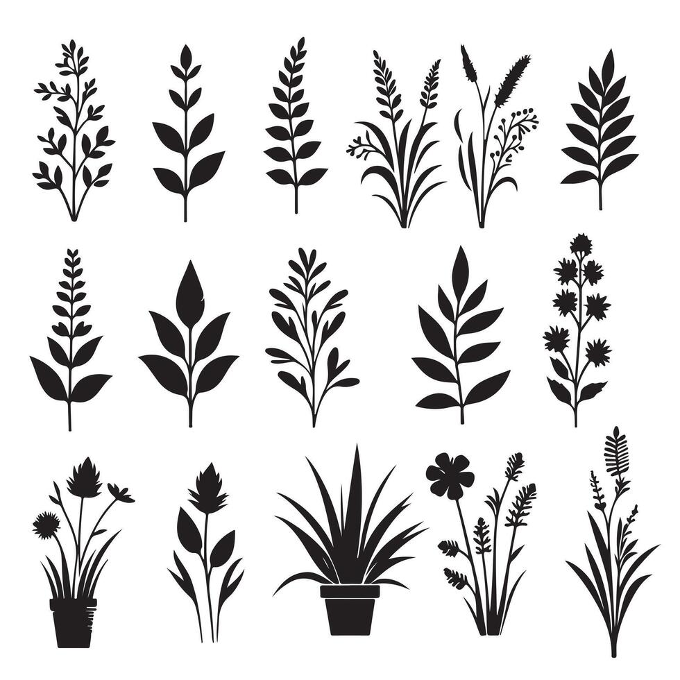 Silhouettes of plants set with white background vector