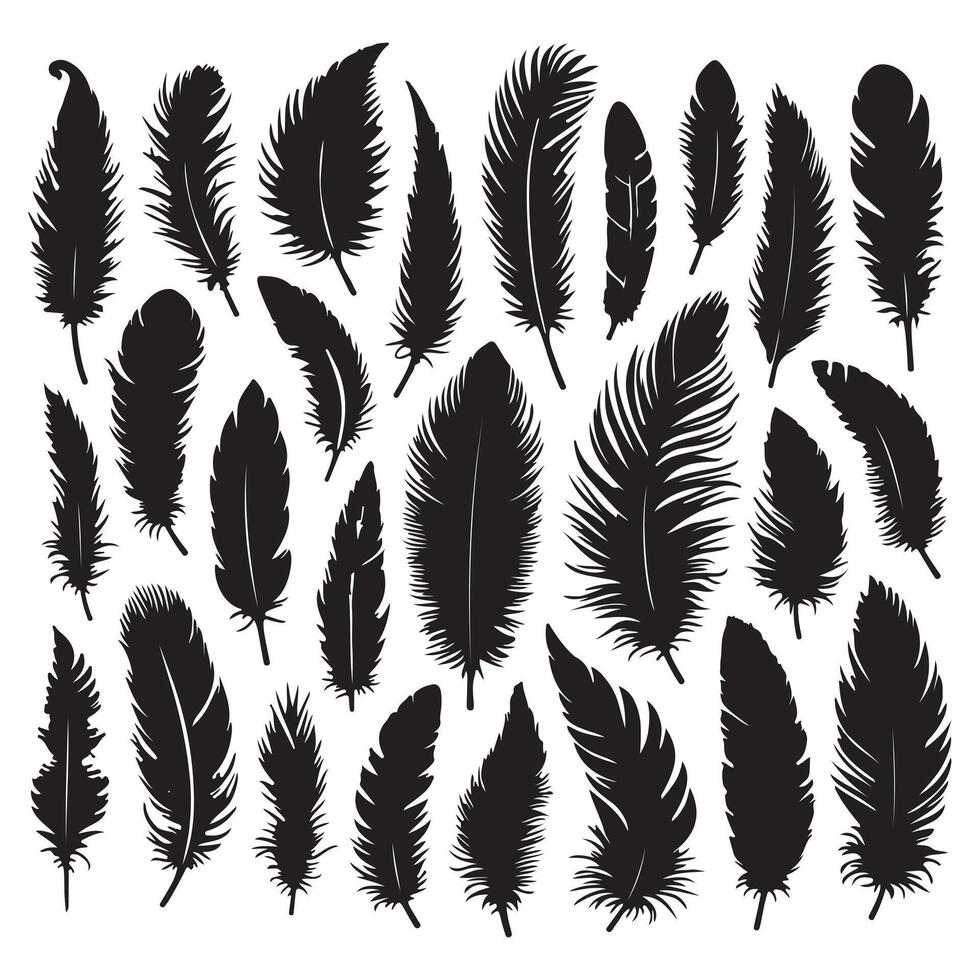 bird feather, collection silhouette on a white background vector