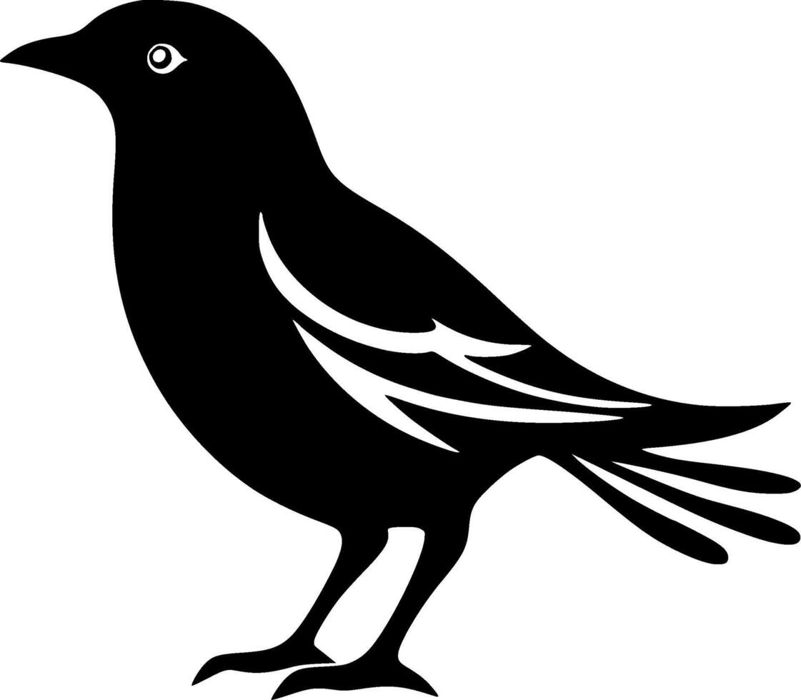 A black bird with a white beak and tail vector