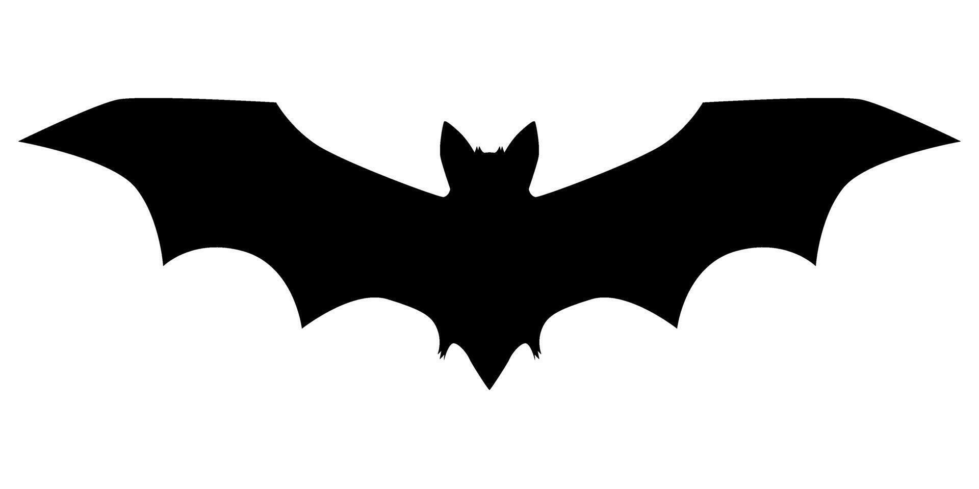 black bat silhouette vector