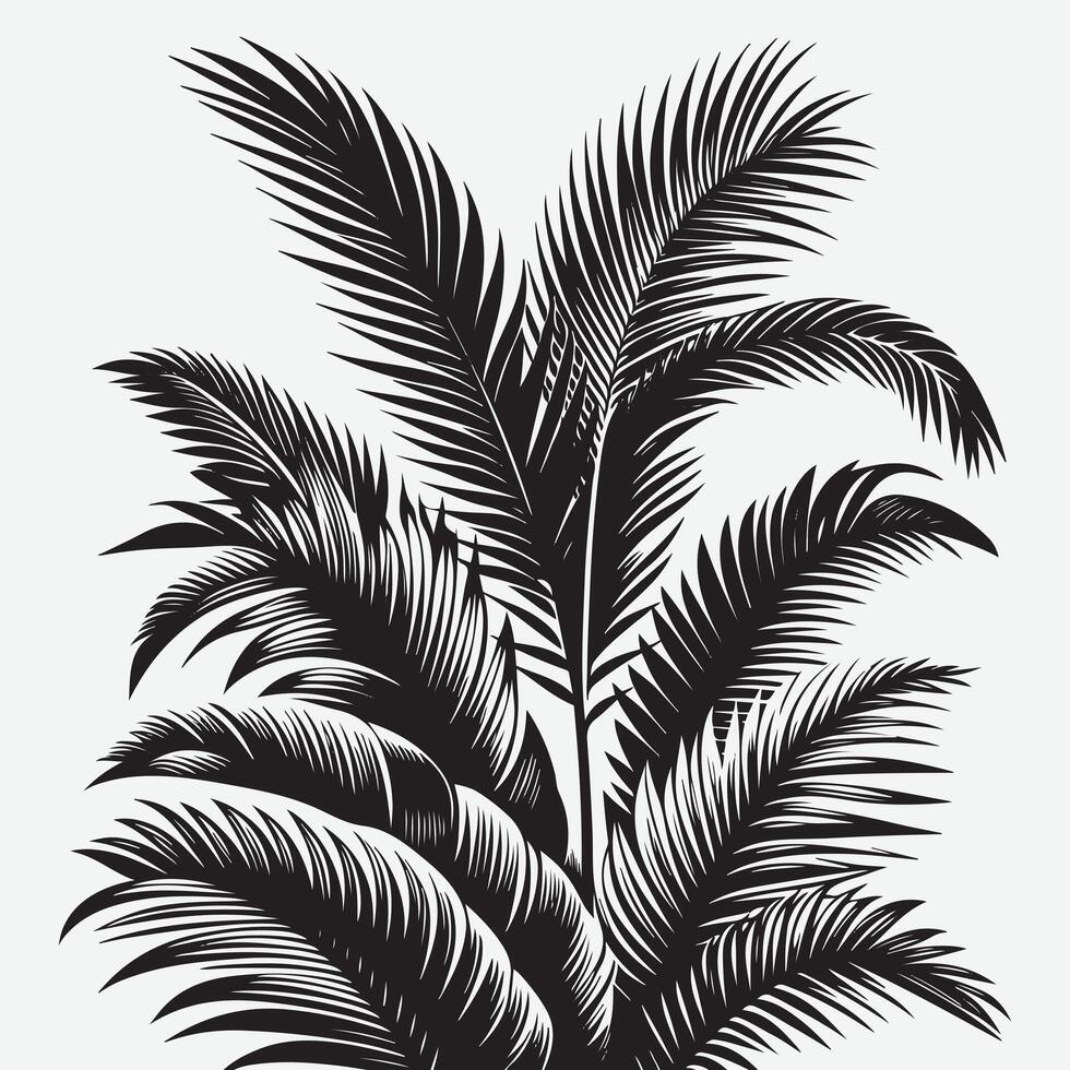 Palm Tree Leaves Silhouettes Perfect for Modern and Elegant Design Use vector