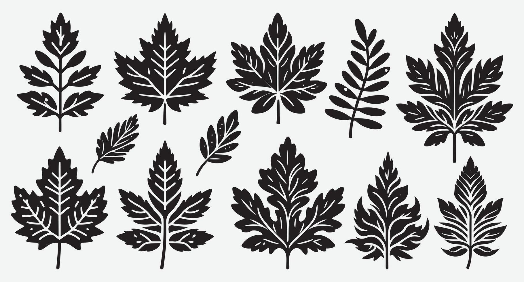 Stylish Clip Art of Tropical Leaves for Stunning Visual Design Elements vector