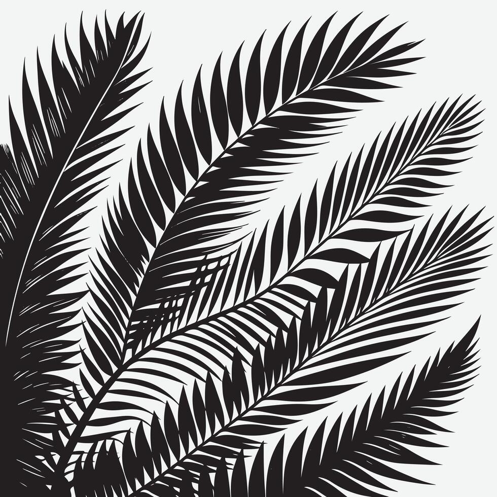 Unique Tropical Palm Leaves Silhouettes for Fresh and Creative Design Elements vector