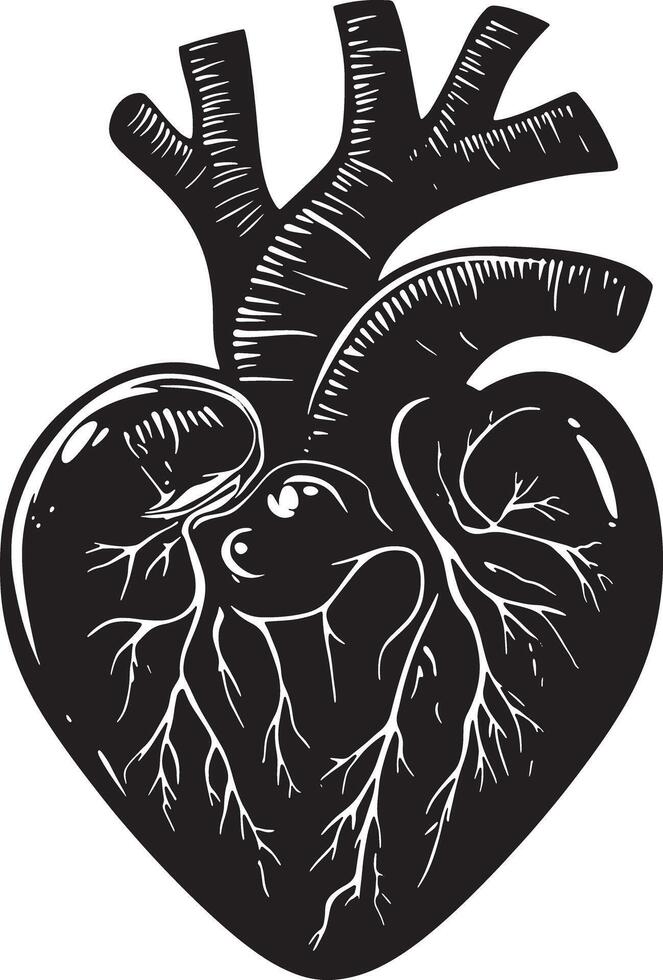 Human heart Design for Medical education vector
