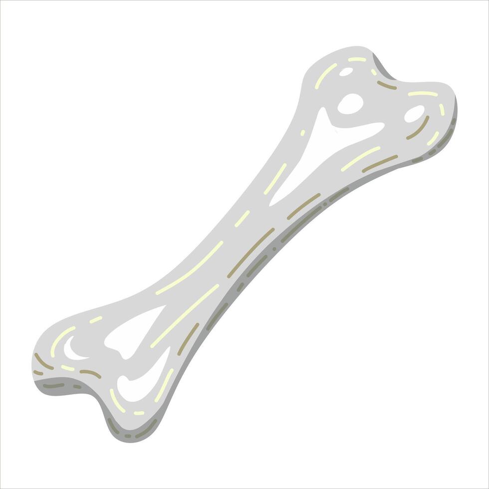 Bone simple design vector