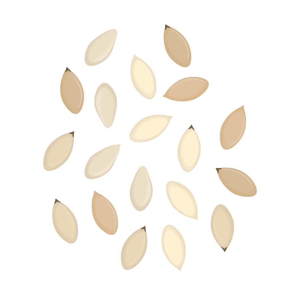 Illustration Logo Clipart White Sesame seeds Isolated vector
