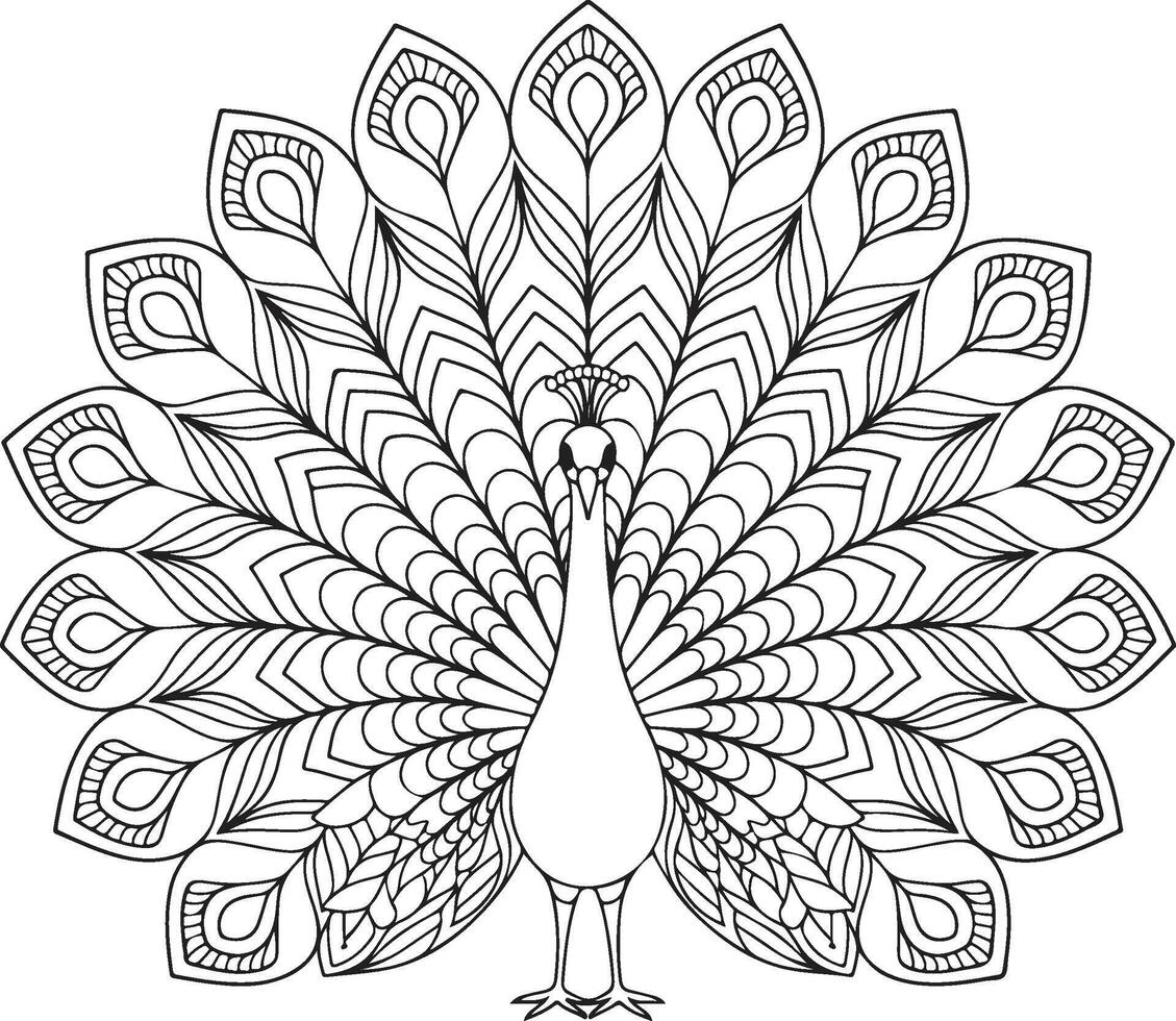 peacock for coloring mandala design vector