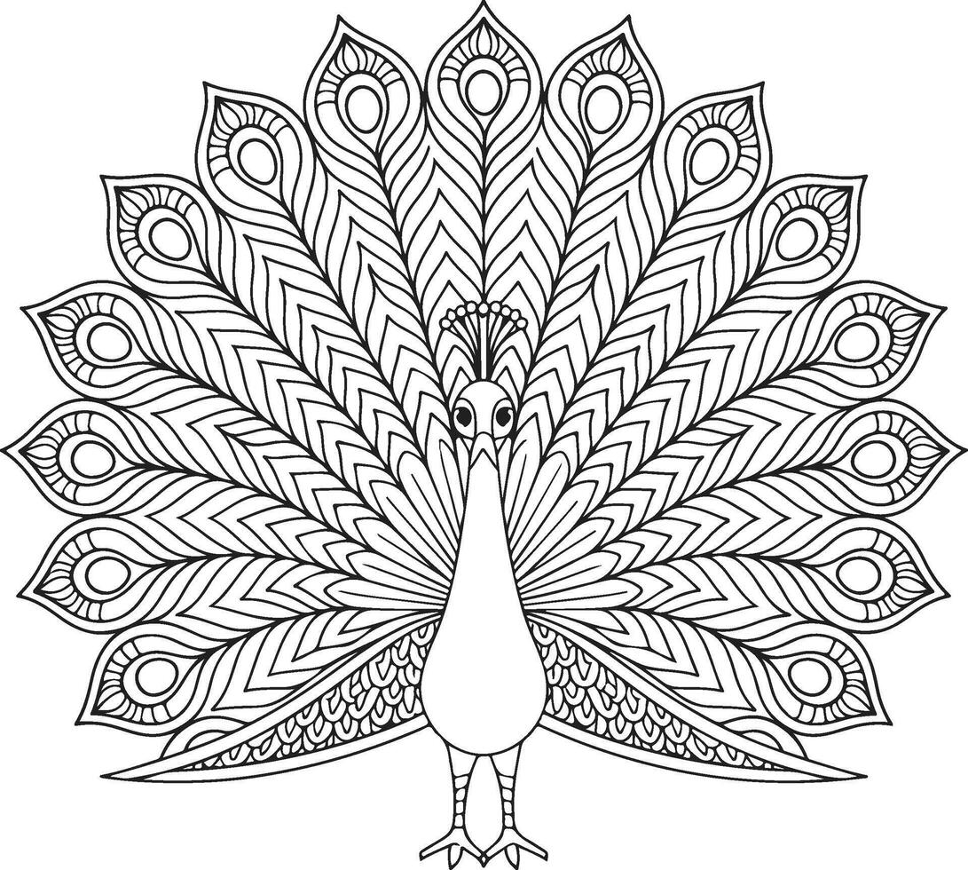 a peacock for coloring mandala vector
