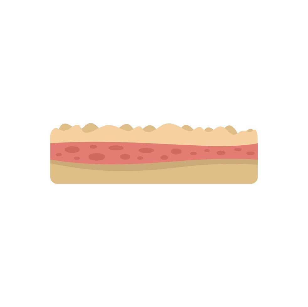 Human skin layers showing epidermis dermis and subcutaneous tissue vector