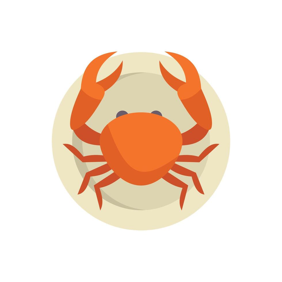 Cooked crab lying on plate top view vector illustration