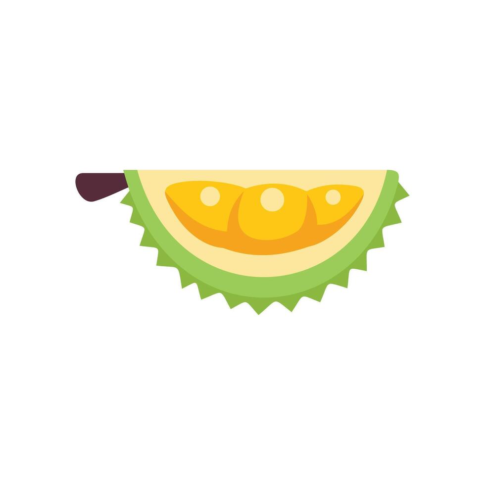Durian fruit slice showing ripe seeds vector